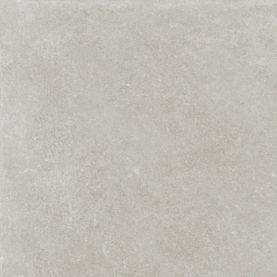 Керамогранит V55909391 Verbier Silver 59.6x59.6