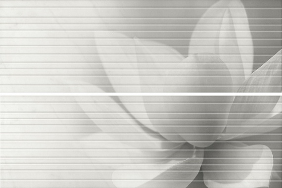 Плитка HGD/A200/2x/12102R Борсари 50х75