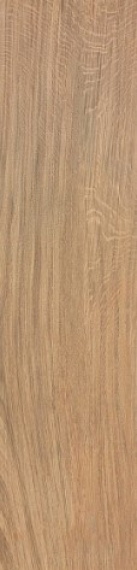 Керамогранит Atlas Concorde Italy AJ8D Etic Rovere Ret. 22.5х90