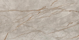 Керамогранит 610010002173 Empire Silver Root Rett 80x160