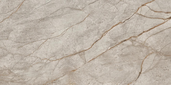 Керамогранит 610015000618 Empire Silver Root Rett Lapp 60x120