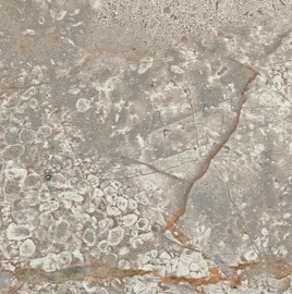 Керамогранит 610090002383 Empire Silver Root Bottone 7,2x7,2