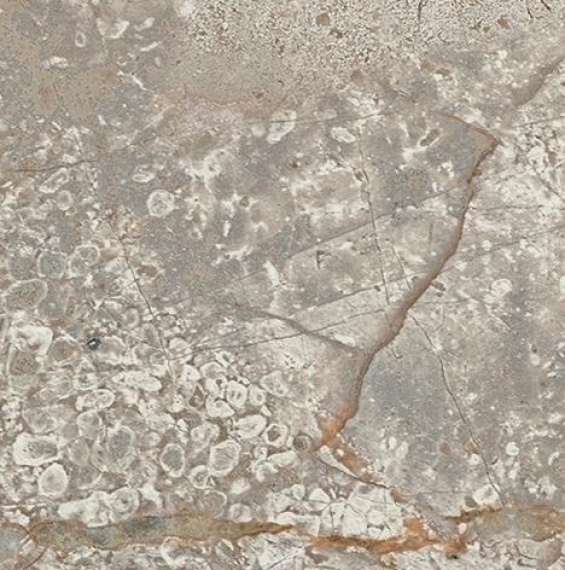Керамогранит 610090002383 Empire Silver Root Bottone 7,2x7,2