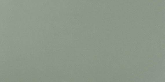 Плитка Atlas Concorde Italy 8AKF (8AKS) Arkshade Sage 40X80