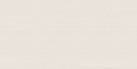 Плитка Alma Ceramica TWU09ATR024 Asteria 24,9х50