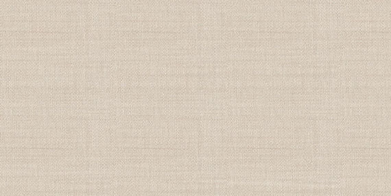 Плитка Alma Ceramica TWU09ATR044 Asteria 24.9х50