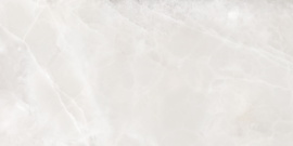 Плитка Alma Ceramica TWU09RVL004 Rivoli 249*500*75