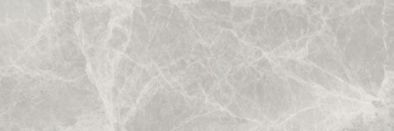 Плитка A035921 SILVER PEARL MATT 25x75