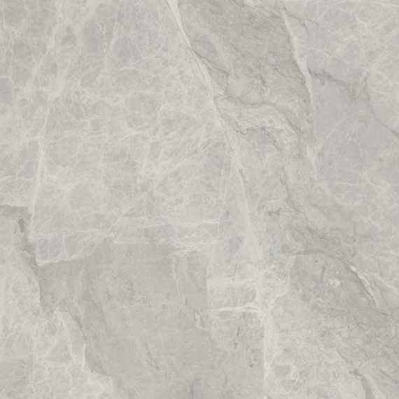 Керамогранит A036621 SILVER PEARL MATT 60x60