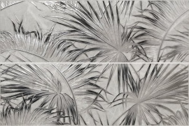 Плитка A036484 DECOR CALATHEA PEARL MATT (SET 2) 25x75