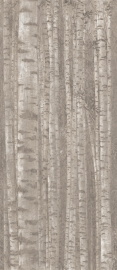 Керамогранит Atlas Concorde Italy A0LW Boost Pro Grove 120x278