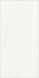 Керамогранит Italon 610015000494 Charme Deluxe Бьянко Микеланжело Пат Рет 60x120