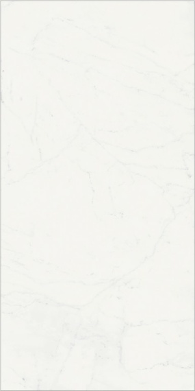 Керамогранит Italon 610015000500 Charme Deluxe Бьянко Микеланжело Люкс Рет 80x160