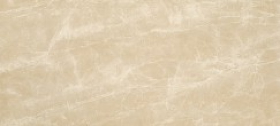 Плитка Atlas Concorde Italy 4MES Marvel Elegant Sable 110 50x110