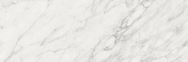 Плитка Terma White 25x75
