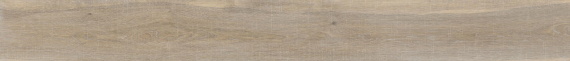 Керамогранит P16700811 Devon Arce 19.3x180