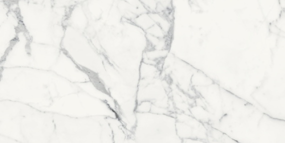 Origines De Rex Blanc Matte 60x120