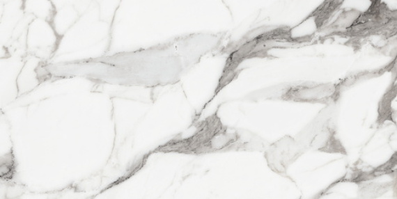 Origines De Rex Argent Glossy 60x120