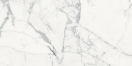 Origines De Rex Blanc Glossy 60x120