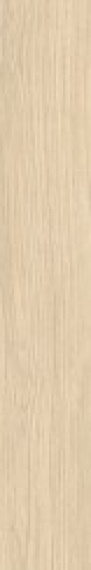 Керамогранит 25635 ESSENCE ALMOND/19.5/R 19.5x121.5