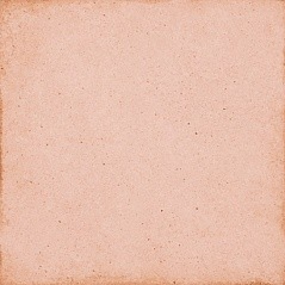 Керамогранит Equipe 24388 ART NOUVEAU CORAL PINK 20*20