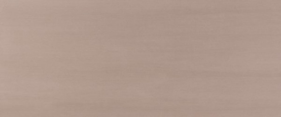 Плитка Atlas Concorde Italy A4SS MEK Rose 50x120
