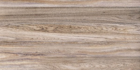Плитка Alma Ceramica TWU09WOD404 Wood 24.9x50