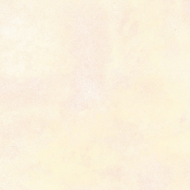 Плитка AltaCera FT3PET11 Petra Beige 41х41