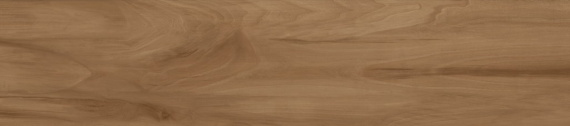 Керамогранит Alma Ceramica GFA92ATN44R Ashton 200*900