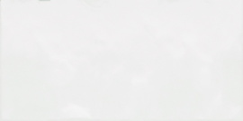 Плитка Alma Ceramica TWU09MNR030 рельефная Monocolor 249*500*8.5
