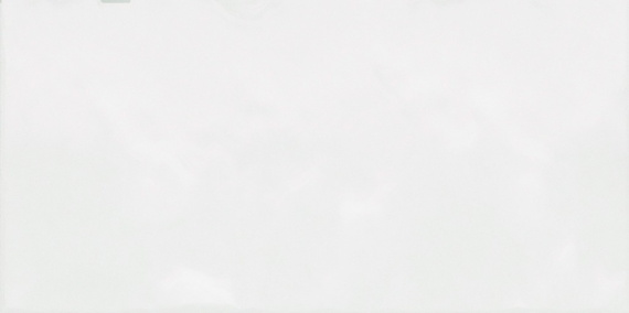 Плитка Alma Ceramica TWU09MNR030 рельефная Monocolor 249*500*8.5