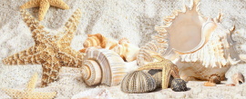 Плитка Декор Caliza Beige Mare 2 20.1x50.5