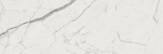 Плитка Italon 600010000891 Charme EVO Statuario 25х75