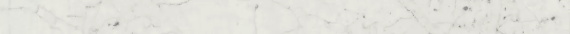 Керамогранит Italon 600090000496 Charme Extra Carrara Spigolo Pat 1x30