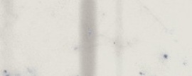 Керамогранит Italon 600090000490 Charme Extra Carrara London A.E. Pat 2x5