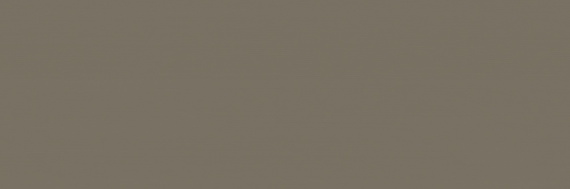 Плитка Italon 600010001940 Element Silk Terra 25x75