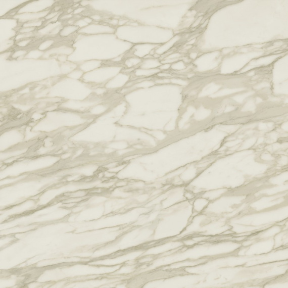 Керамогранит Atlas Concorde Italy AENP Marvel Royal Calacatta Lappato 120x120