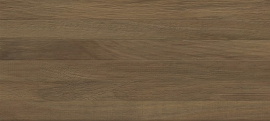 Плитка Quarta brown 04 25х60