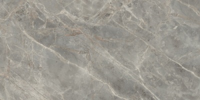 Etoile Gris Glossy 60x120