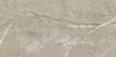 Breccia Silver Venato POL 120x60x0.55