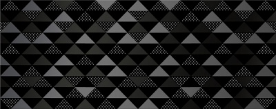 Плитка Декор VELA NERO CONFETTI 20,1x50,5