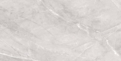 Плитка Armani Silver 60x120 Matt С0005650
