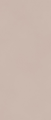Керамогранит BOOST COLOR Mauve Matt 50x120 AKM0