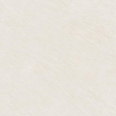 Alma Ceramica GFU04EVL08R плитка напольная керамогранитная Evolution 600*600