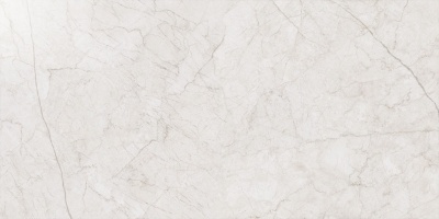 Керамогранит Italon 610015000275 Contempora Pure Патинированный 60x120