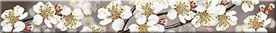Бордюр Azori 50,5x6,2 AMATI SAKURA 584191002