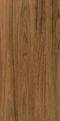 Керамогранит Greenwood Elite 60*120 (1.44 кв.м.= 2 шт)