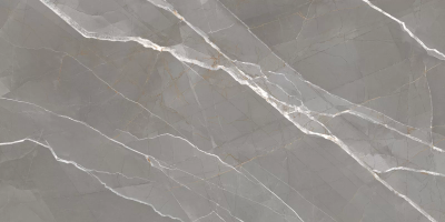 Керамогранит New Trend 60120ESE25P Essential Graphite полированный 600*1200