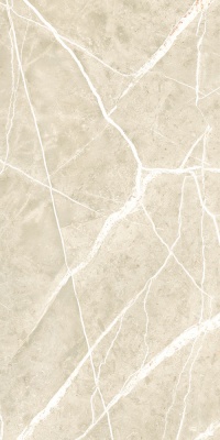 Керамогранит Nt Ceramic Wisdom Stone Punch Carving NTT99619PC 60x120