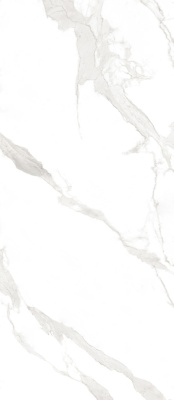Слэб керамический PATAGONOA BIANCO GRACE 2800х1200х6мм GRACE (DIGITAL MATT) С0005750